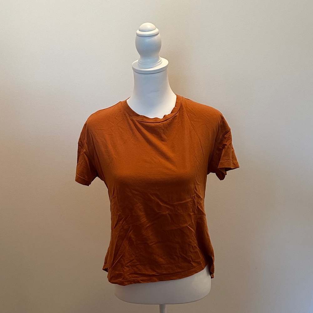 Tiny Brand Women's Short Sleeve Embroidered Crop Top